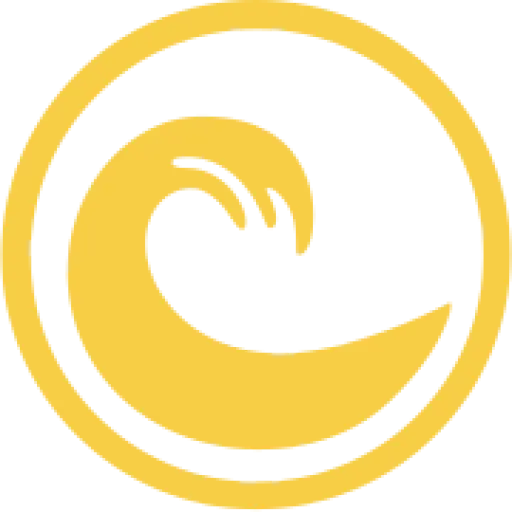 Coinsurf