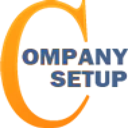 Company Setup