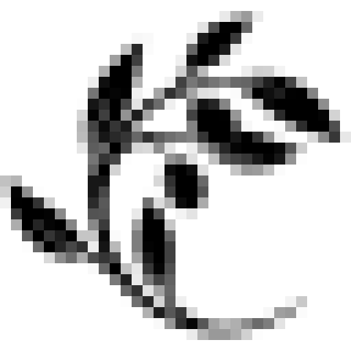 Conclusioy
