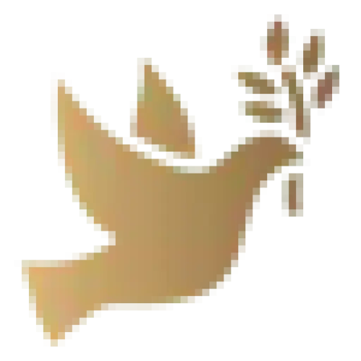 Coninection