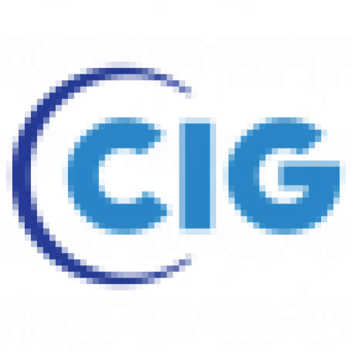 Consulting Italia Group