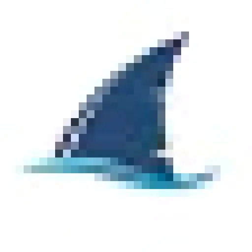 Copy Sharks