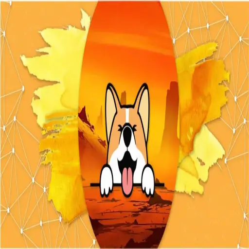 corgidoge.com