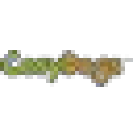 Cosydogs