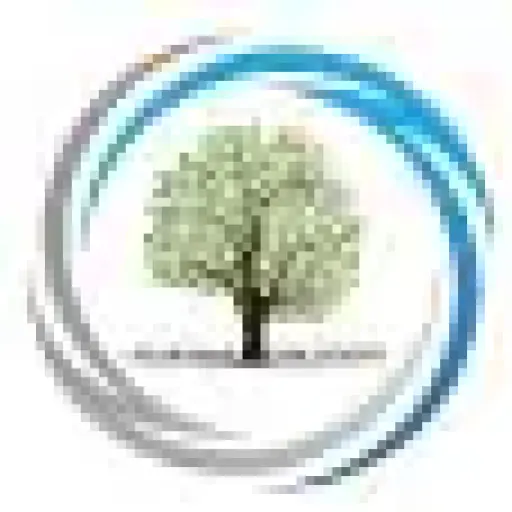 Creditorssolutions