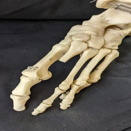 Educational Model Repair