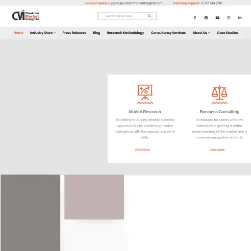 CMI Consulting LLC