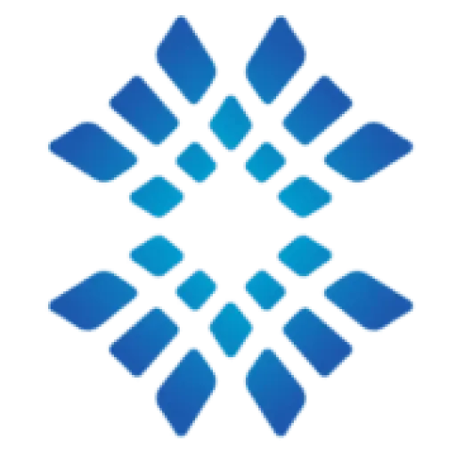 customtravelsolutions.com