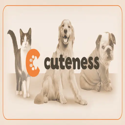 Cuteness
