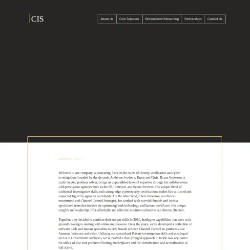 Cyber Investigation Services