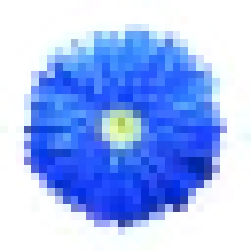 Daisyblue Publishing
