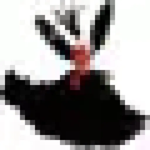 DarkinCloset