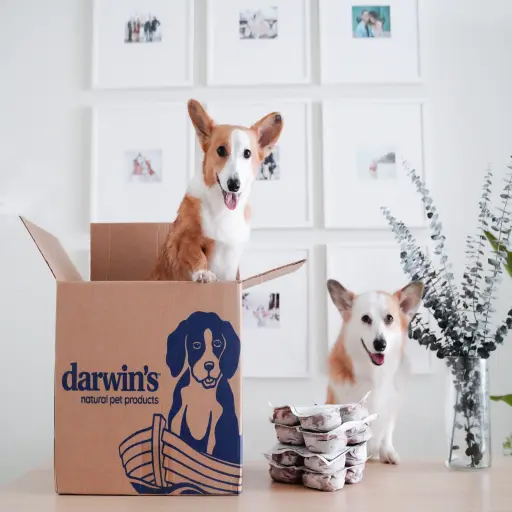 Darwin's Natural Pet Products