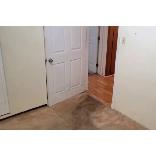 Dave's Cleaning
