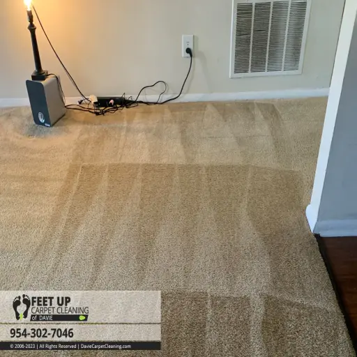 Feet Up Carpet Cleaning of Davie