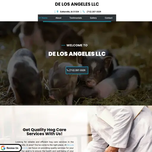 De Los Angeles LLC