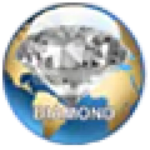 Diamondmoverspackers