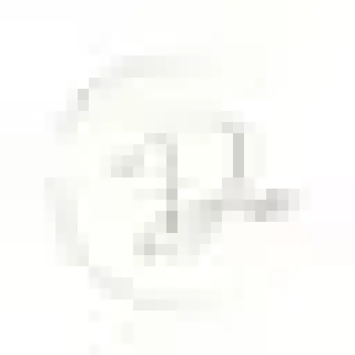 Diaofficial