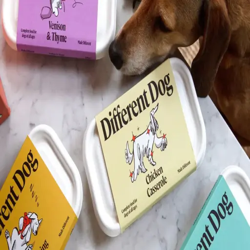 Different Dog
