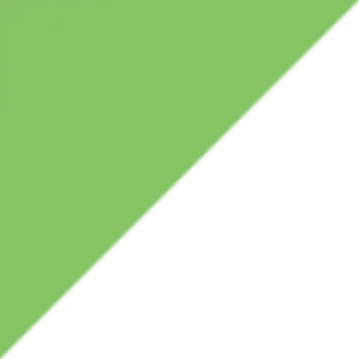 Digi International