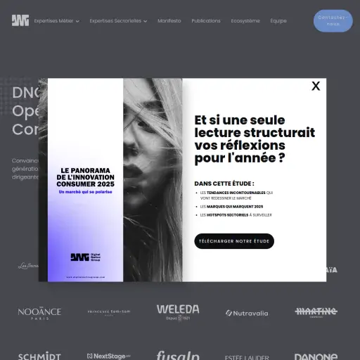 digitalnativegroup.com