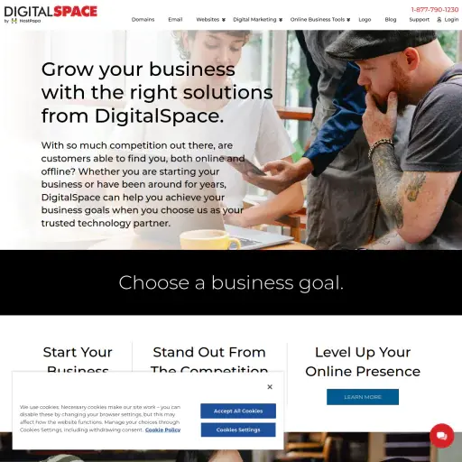 DigitalSpace Hosting
