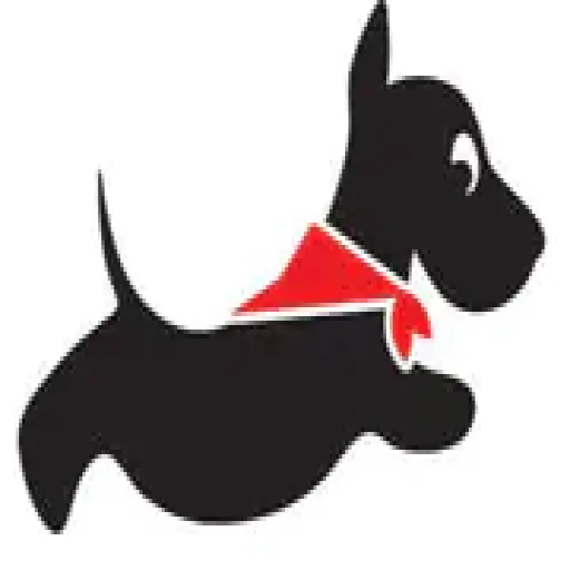 Dinky Dog Club