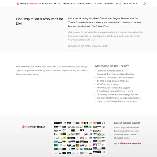 Divi Theme Examples