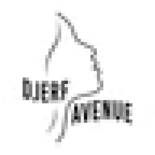 djerfavenue.com
