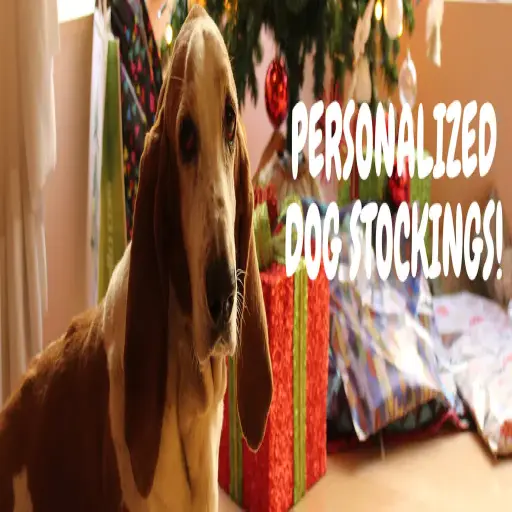 Dogchristmasstockings