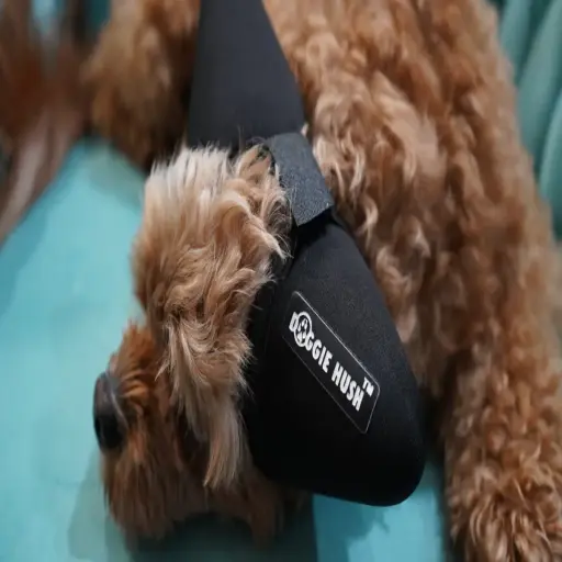 Doggie Hush