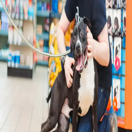 doggiestylepets.com