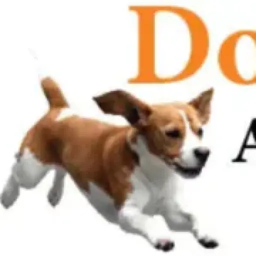 Doggonetaxi