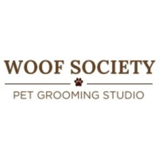 Doggy Day Care Brisbane
