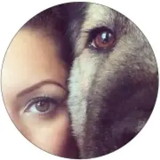 Dogsofpegasus
