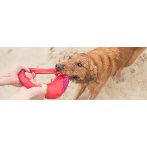 DogTuff