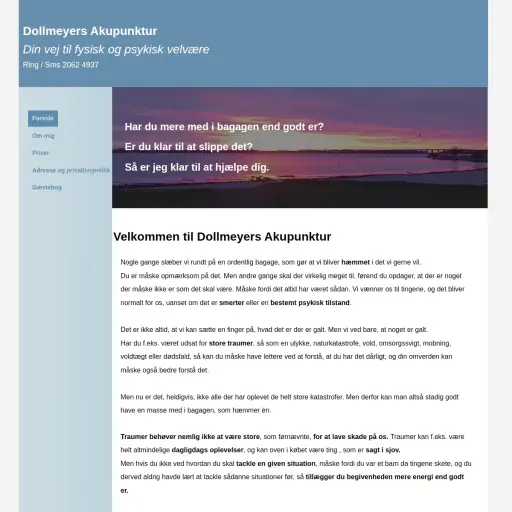 Dollmeyers Akupunktur