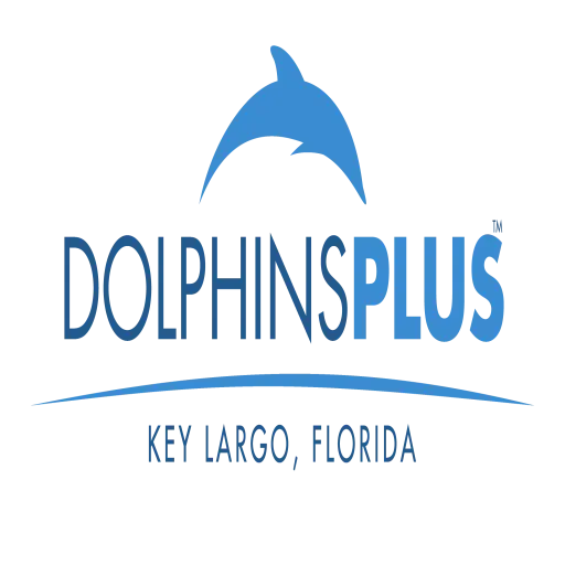 dolphins plus