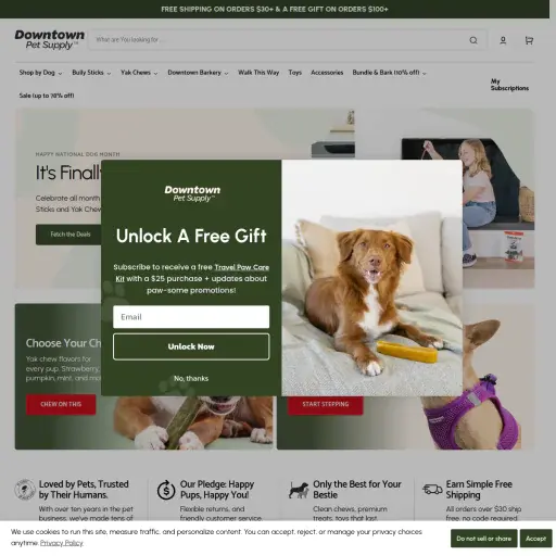 downtownpetsupply.com
