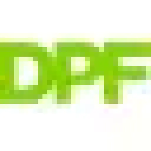 DPF CLEAN TEAM