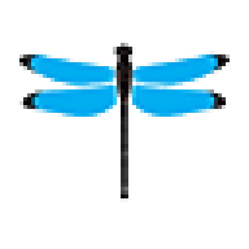 Dragonflydm