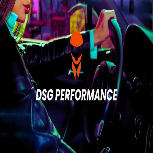DSG | Performance