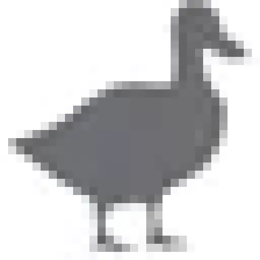duckys.com