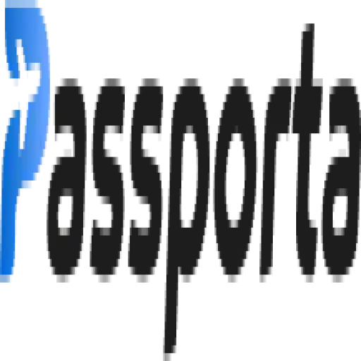 E Visa