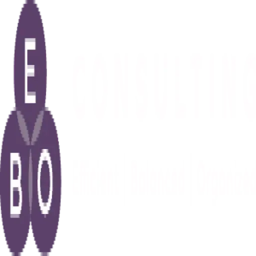 Eboconsultinginc