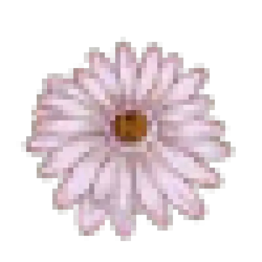 Egreteron