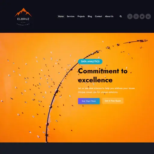 ELBRUZ CONSULTING LIMITED