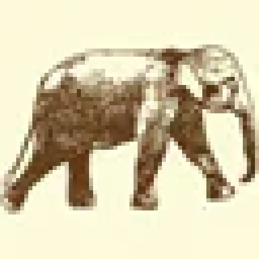 Elephant Hills