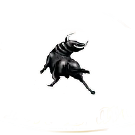 El Toro Bravo ll