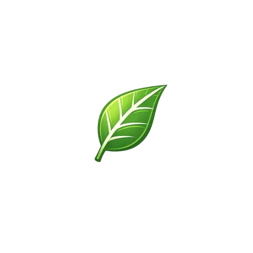 Emerson's Furniture